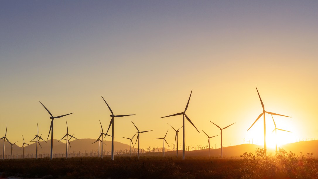 Thousands of wind turbines at sunset